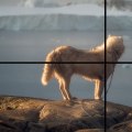 Everything You Need to Know About the Rule of Thirds